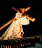 Jesus Nazareno del Consuelo 2.jpg (14656 bytes)