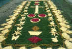 alfombra 12.jpg (58702 bytes)