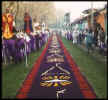 alfombra 5.jpg (17251 bytes)