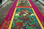 alfombra bella.jpg (60260 bytes)