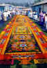alfombra.jpg (25377 bytes)