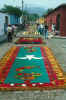 carpet05.jpg (50585 bytes)